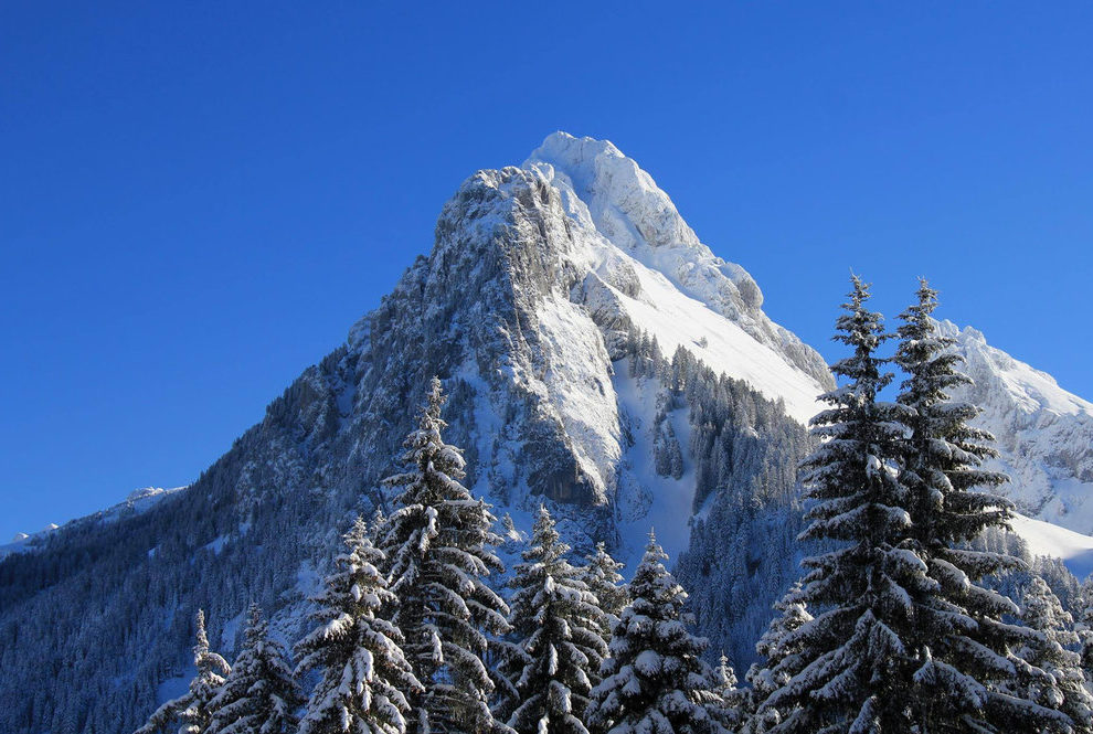 cropped-dent-doche-neige-1.jpg