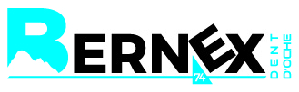 logo bernex