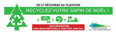 cropped-Reclyclage-sapin.jpg