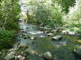 cropped-cropped-Riviere-2.jpg